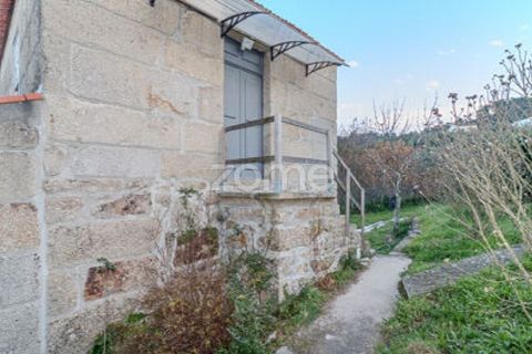 Farm i Cinfaes, Viseu, Cinfaes - € 299.000 | Ref: ZMPT583026 - foto 22