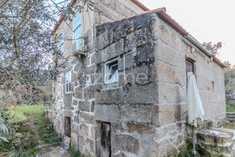 Farm i Cinfaes, Viseu, Cinfaes - € 299.000 | Ref: ZMPT583026 - foto 28