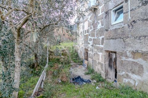 Farm i Cinfaes, Viseu, Cinfaes - € 299.000 | Ref: ZMPT583026 - foto 29