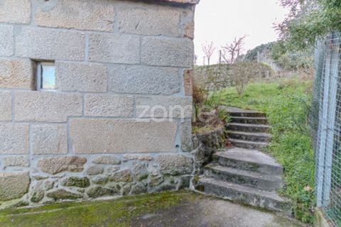 Farm i Cinfaes, Viseu, Cinfaes - € 299.000 | Ref: ZMPT583026 - foto 32