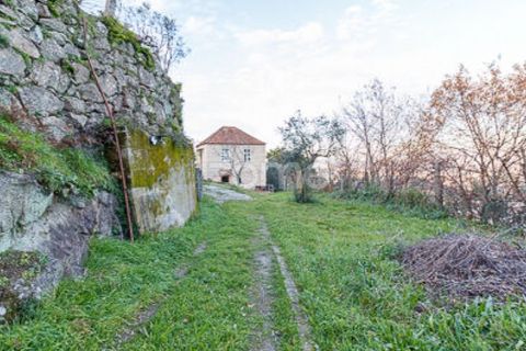 Farm i Cinfaes, Viseu, Cinfaes - € 299.000 | Ref: ZMPT583026 - foto 34