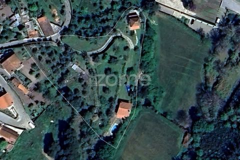 Farm i Cinfaes, Viseu, Cinfaes - € 299.000 | Ref: ZMPT583026 - foto 2