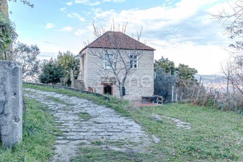 Farm i Cinfaes, Viseu, Cinfaes - € 299.000 | Ref: ZMPT583026 - foto 19