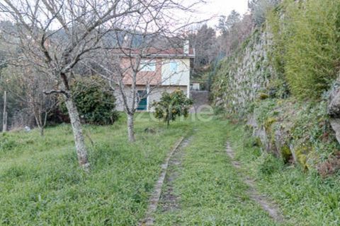 Farm i Cinfaes, Viseu, Cinfaes - € 299.000 | Ref: ZMPT583026 - foto 1