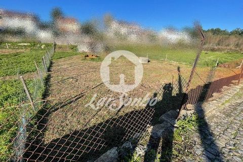 Helårsgrund i Trofa, Porto, Trofa - € 88.000 | Ref: 240-T-26011 - foto 4