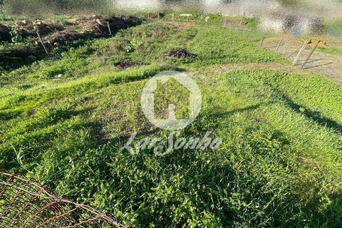 Helårsgrund i Trofa, Porto, Trofa - € 88.000 | Ref: 240-T-26011 - foto 7