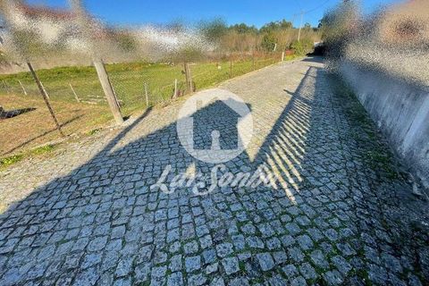 Helårsgrund i Trofa, Porto, Trofa - € 88.000 | Ref: 240-T-26011 - foto 8