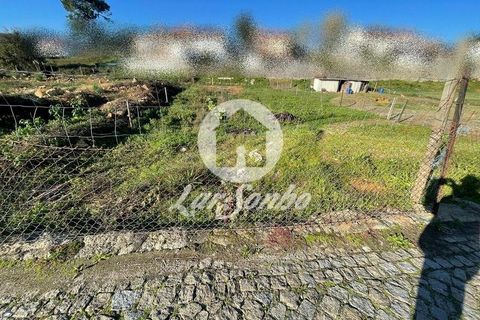 Helårsgrund i Trofa, Porto, Trofa - € 88.000 | Ref: 240-T-26011 - foto 11