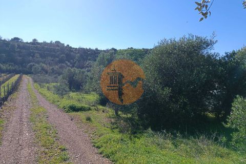 Helårsgrund i Castro Marim, Faro, Castro Marim - € 21.000 | Ref: SU-CS-TR-91179 - foto 7