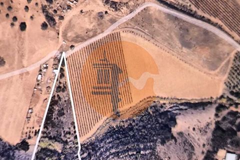 Helårsgrund i Castro Marim, Faro, Castro Marim - € 21.000 | Ref: SU-CS-TR-91179 - foto 8