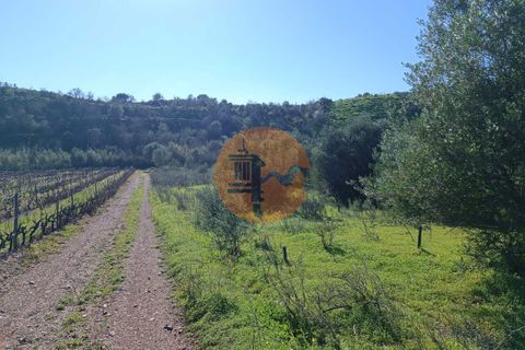 Helårsgrund i Castro Marim, Faro, Castro Marim - € 21.000 | Ref: SU-CS-TR-91179 - foto 9