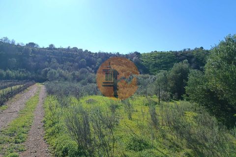 Helårsgrund i Castro Marim, Faro, Castro Marim - € 21.000 | Ref: SU-CS-TR-91179 - foto 12