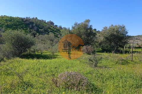 Helårsgrund i Castro Marim, Faro, Castro Marim - € 21.000 | Ref: SU-CS-TR-91179 - foto 13