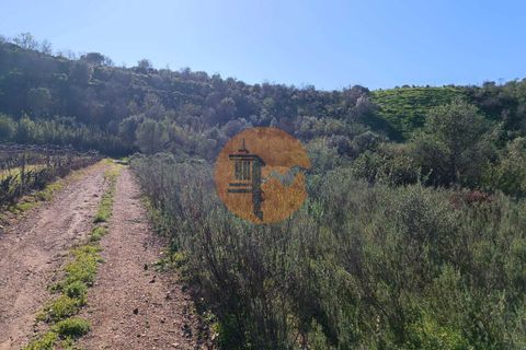 Helårsgrund i Castro Marim, Faro, Castro Marim - € 21.000 | Ref: SU-CS-TR-91179 - foto 14