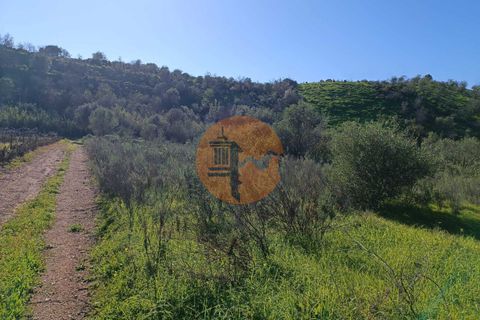 Helårsgrund i Castro Marim, Faro, Castro Marim - € 21.000 | Ref: SU-CS-TR-91179 - foto 15