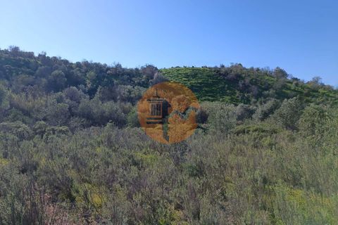 Helårsgrund i Castro Marim, Faro, Castro Marim - € 21.000 | Ref: SU-CS-TR-91179 - foto 16