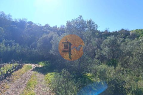 Helårsgrund i Castro Marim, Faro, Castro Marim - € 21.000 | Ref: SU-CS-TR-91179 - foto 19