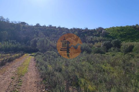 Helårsgrund i Castro Marim, Faro, Castro Marim - € 21.000 | Ref: SU-CS-TR-91179 - foto 20