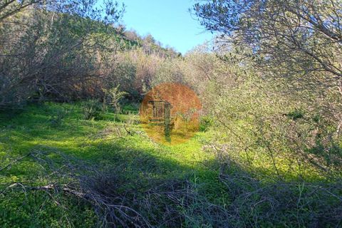 Helårsgrund i Castro Marim, Faro, Castro Marim - € 21.000 | Ref: SU-CS-TR-91179 - foto 23