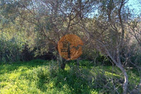 Helårsgrund i Castro Marim, Faro, Castro Marim - € 21.000 | Ref: SU-CS-TR-91179 - foto 25