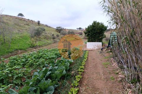 Helårsgrund i Castro Marim, Faro, Castro Marim - € 54.900 | Ref: SU-CS-TR-90787 - foto 8