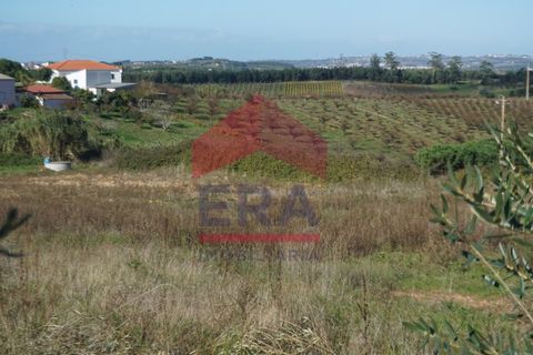 Helårsgrund i Cadaval, Lisbon, Cadaval - € 95.000 | Ref: 150250341 - foto 3