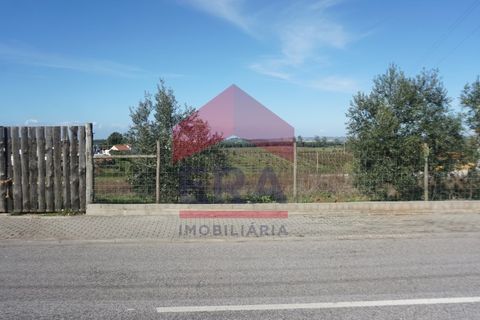 Helårsgrund i Cadaval, Lisbon, Cadaval - € 95.000 | Ref: 150250341 - foto 5