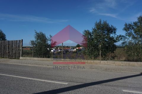 Helårsgrund i Cadaval, Lisbon, Cadaval - € 95.000 | Ref: 150250341 - foto 6