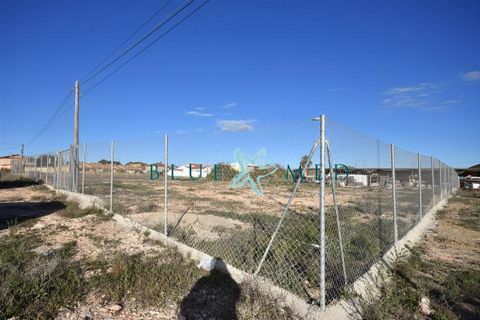 Tomt i Pareton, Murcia, Pareton - € 29 900 | Ref: PARETONPLOT1/10254 - foto 2