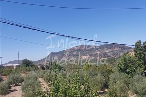 Byhus i Charilla, Jaen, Charilla - € 160.000 | Ref: TH6228 - foto 15