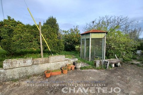 Villa a Tomar, Santarem, Tomar - € 250.000 | Ref: 506/24 - foto 5