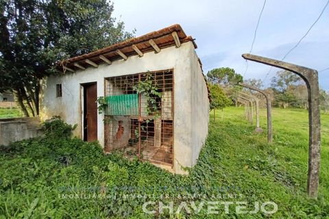 Villa a Tomar, Santarem, Tomar - € 250.000 | Ref: 506/24 - foto 6