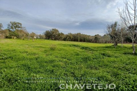 Villa a Tomar, Santarem, Tomar - € 250.000 | Ref: 506/24 - foto 8