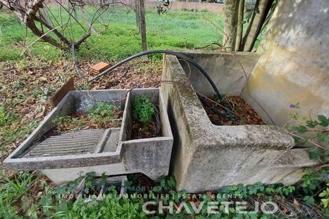 Villa a Tomar, Santarem, Tomar - € 250.000 | Ref: 506/24 - foto 12