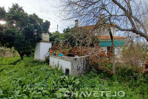 Villa a Tomar, Santarem, Tomar - € 250.000 | Ref: 506/24 - foto 13