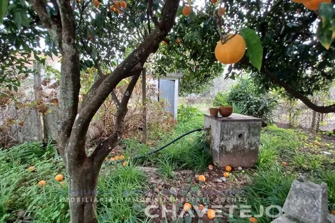 Villa a Tomar, Santarem, Tomar - € 250.000 | Ref: 506/24 - foto 14