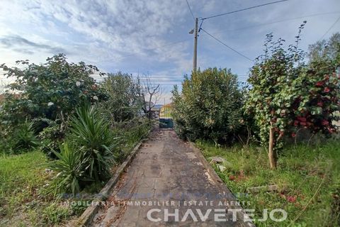 Villa a Tomar, Santarem, Tomar - € 250.000 | Ref: 506/24 - foto 35