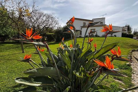 Villa i Loures, Lisbon, Loures - € 1.950.000 | Ref: TAPT01-1614_CA_SAC - foto 43