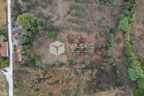 Villa i Santarem, Santarem, Santarem - € 73.000 | Ref: FR931 - foto 3
