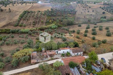 Villa i Santarem, Santarem, Santarem - € 73.000 | Ref: FR931 - foto 4