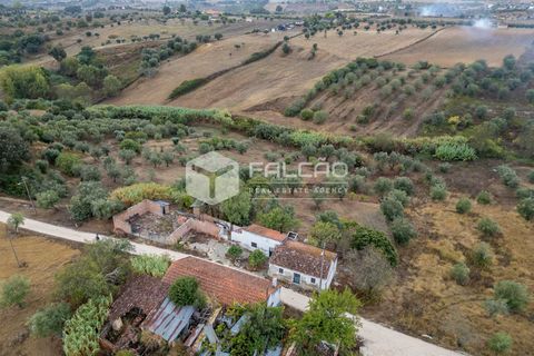 Villa i Santarem, Santarem, Santarem - € 73.000 | Ref: FR931 - foto 5