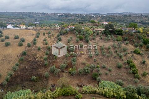 Villa i Santarem, Santarem, Santarem - € 73.000 | Ref: FR931 - foto 6