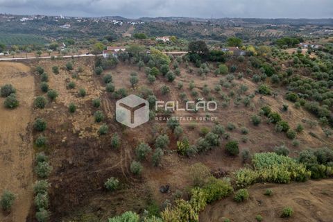Villa i Santarem, Santarem, Santarem - € 73.000 | Ref: FR931 - foto 7
