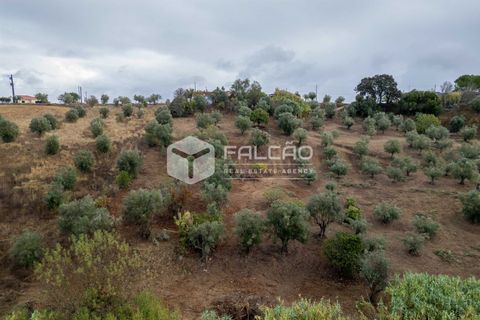 Villa i Santarem, Santarem, Santarem - € 73.000 | Ref: FR931 - foto 10