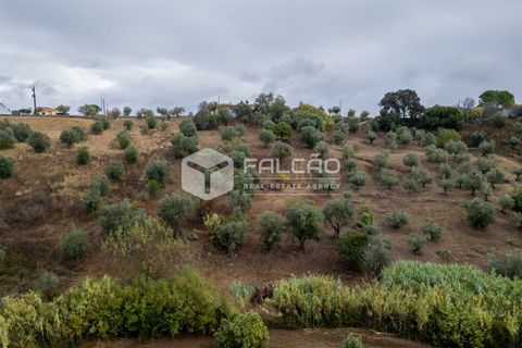 Villa i Santarem, Santarem, Santarem - € 73.000 | Ref: FR931 - foto 11