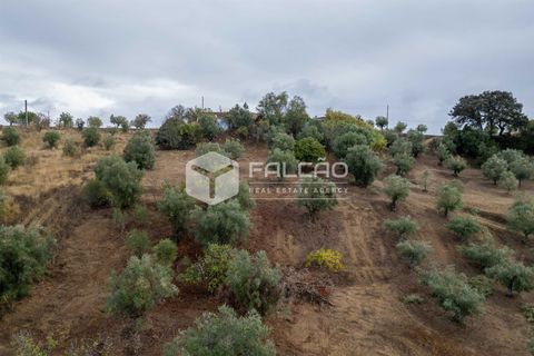 Villa i Santarem, Santarem, Santarem - € 73.000 | Ref: FR931 - foto 12