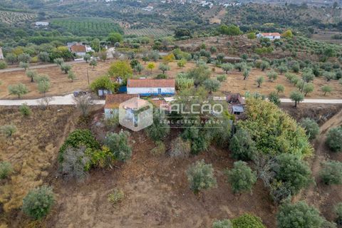 Villa i Santarem, Santarem, Santarem - € 73.000 | Ref: FR931 - foto 14