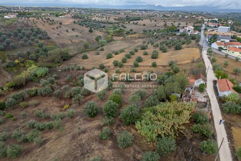 Villa i Santarem, Santarem, Santarem - € 73.000 | Ref: FR931 - foto 16