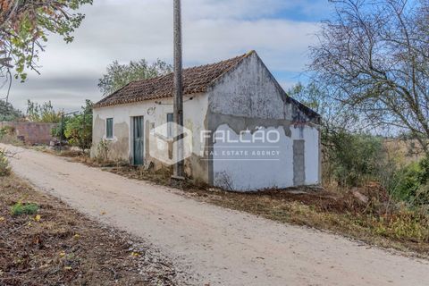 Villa i Santarem, Santarem, Santarem - € 73.000 | Ref: FR931 - foto 17
