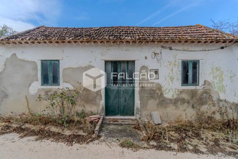 Villa i Santarem, Santarem, Santarem - € 73.000 | Ref: FR931 - foto 19
